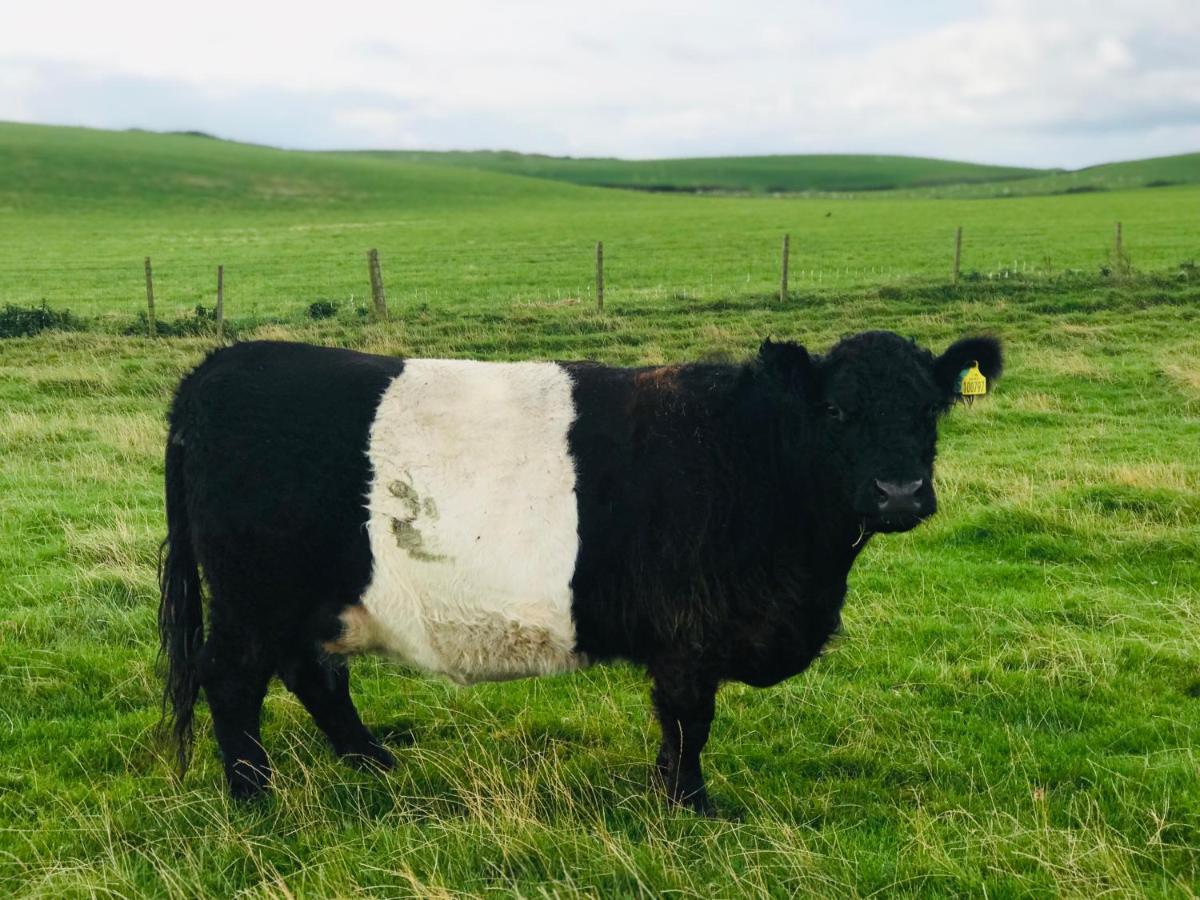 Lodge Cabin With Fabulous Views - Farm Holiday Stranraer Bagian luar foto