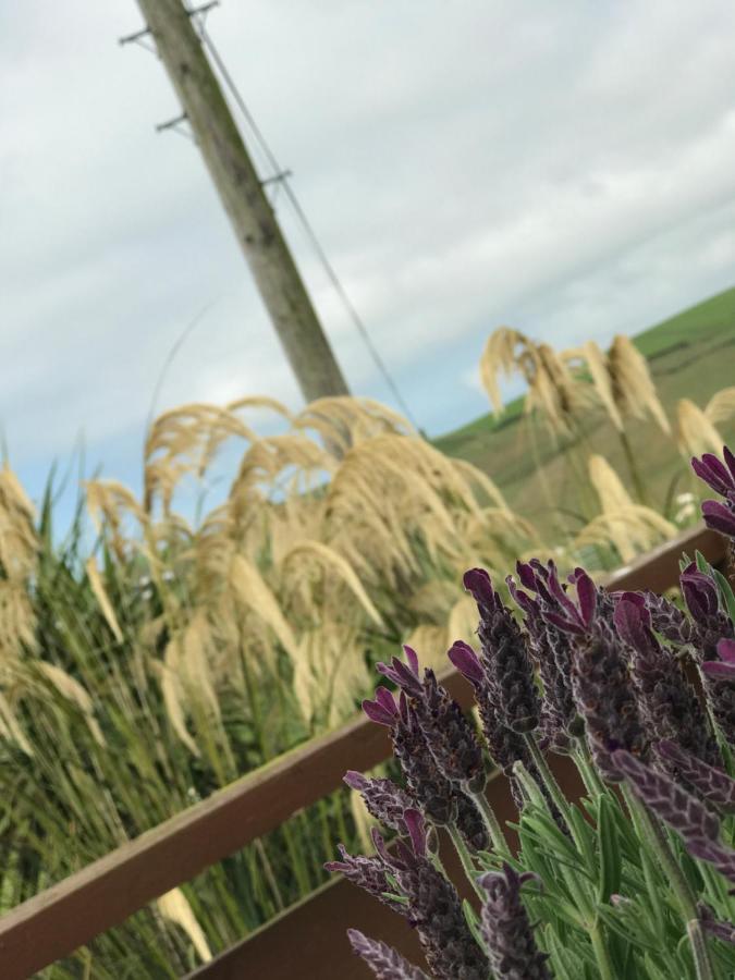 Lodge Cabin With Fabulous Views - Farm Holiday Stranraer Bagian luar foto